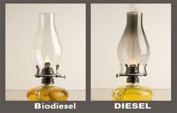 Difference Between Diesel and Biodiesel 1 JJJ